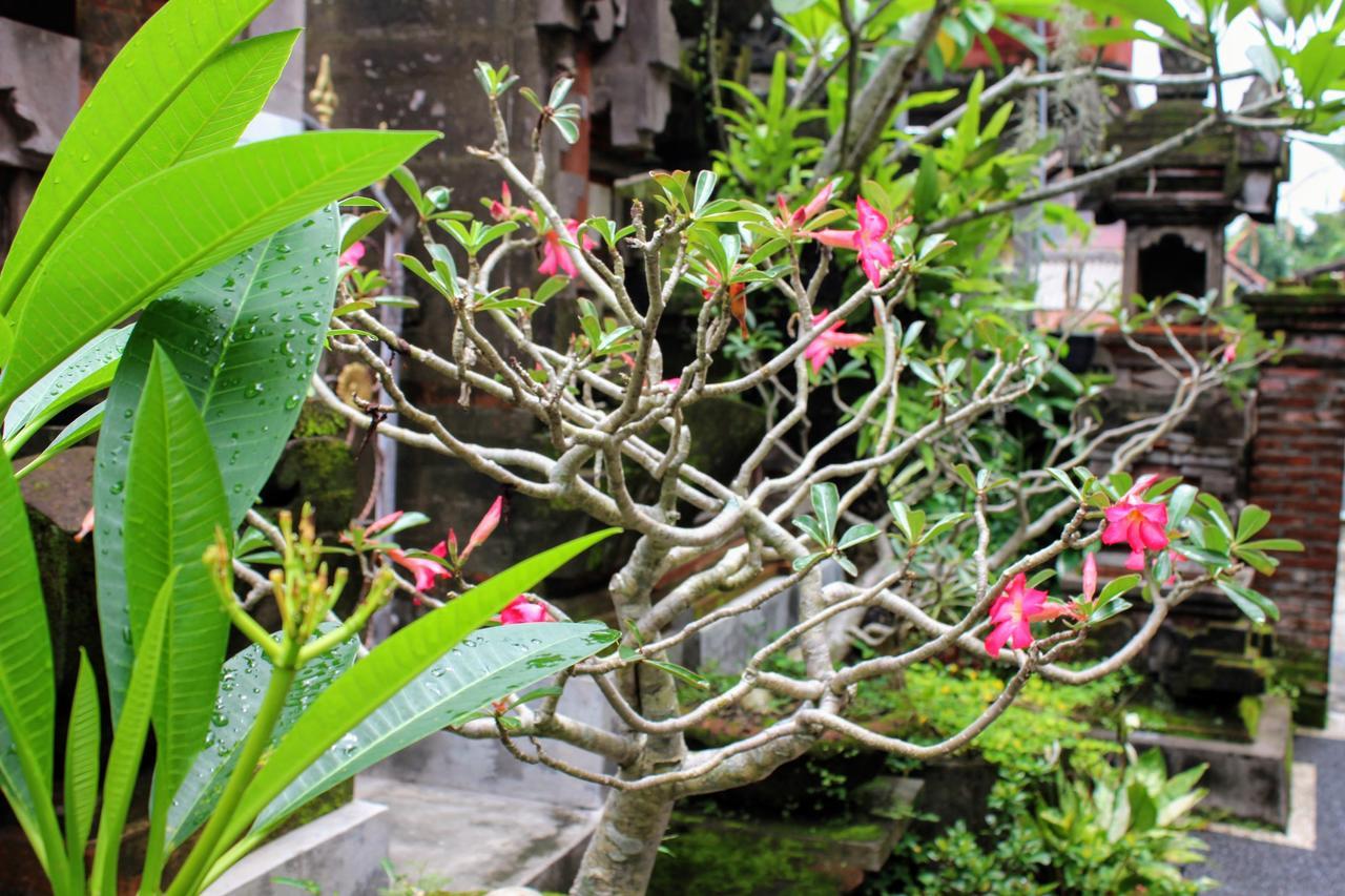Rama Homestay Ubud Zewnętrze zdjęcie